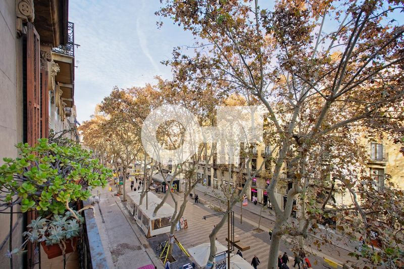 Foto 14cc980a-14e9-419f-aa9f-48cea25ebe9a. Apartament amb aparcament a Raval Barcelona