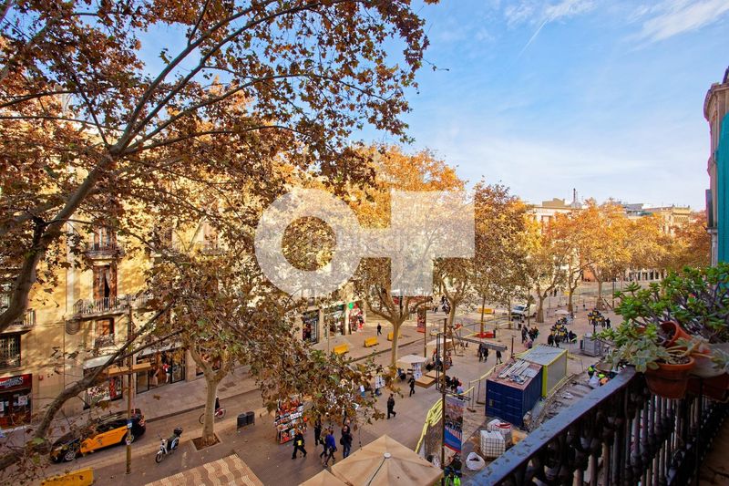 Foto 8f6b0e6c-3a2d-488e-86c1-cc03a12c4ca0. Apartament amb aparcament a Raval Barcelona