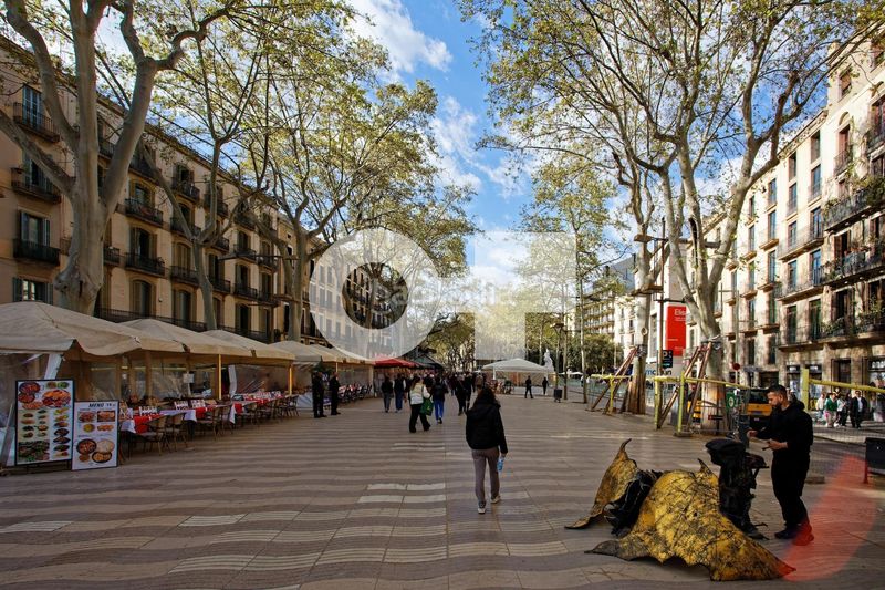 Foto 00774fe4-34bb-40c8-8672-2258cf1cfc8a. Piso totalmente exterior muy luminoso orientación sur balcón con vistas a la rambla 2 hab. dobles ascensor ite ok finca 1999 en Barcelona