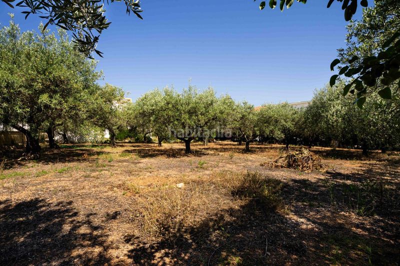 Foto b2b850de-41d7-460f-a447-92d1a64b9e52. Casa amb aparcament piscina a Alcossebre