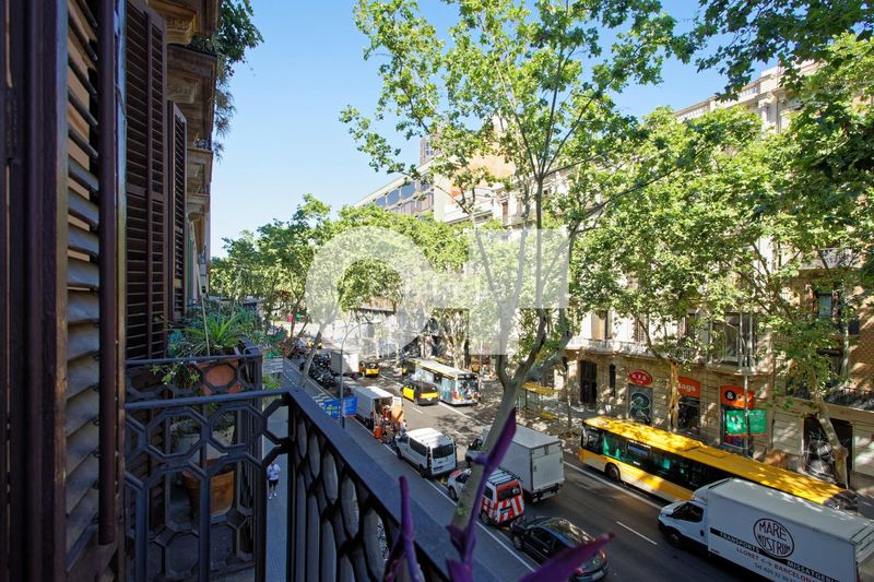 Foto 58eeb8d9-c9c5-458b-952a-597d0387b0e4. Pis a Dreta de l´Eixample Barcelona