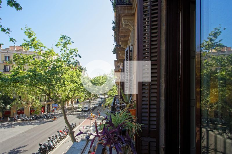 Foto 5edc467d-e8b8-4427-abdb-dea1a8f10193. Pis a Dreta de l´Eixample Barcelona