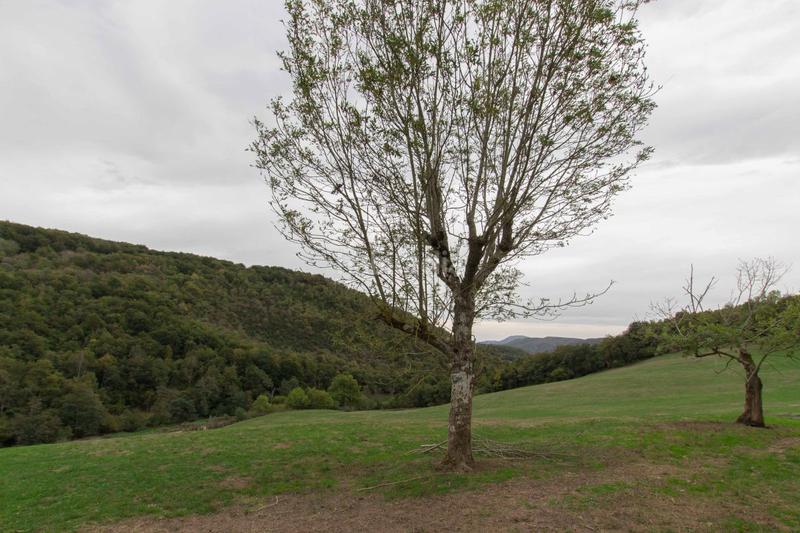 Foto 2b308bca-a16b-4820-904f-786d42cb15fa. Casa  en venta , 1 dormitorio. en Anue