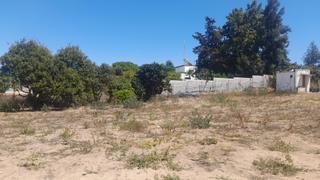 Finca rústica a La Soledad. Parcela segregada zona la coquina