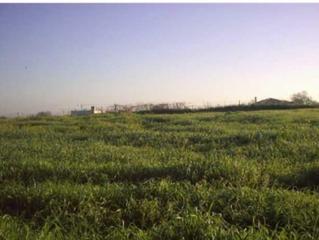 Residential Plot in Las Lagunas - Campano