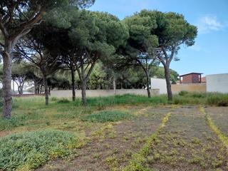 Terreny residencial a Las Lagunas - Campano. Parcela 1700 pago melilla