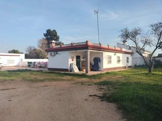Xalet a Las Lagunas - Campano. Chalet con apartamento carretera de los carabineros