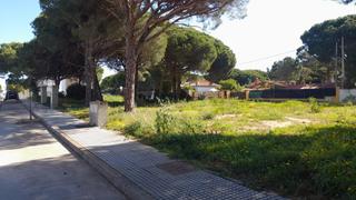 Terreny residencial a Las Lagunas - Campano. Parcela urbanas  molino viejo