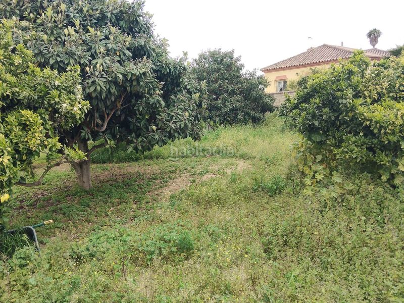 Foto 910c1127-8eb1-429e-ac3b-b8cfb8e188dd. Xalet amb aparcament a Las Lagunas - Campano Chiclana de la Frontera