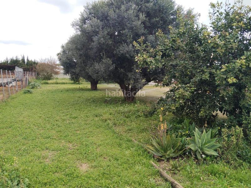 Foto ec6c066c-369d-4ea1-9eec-39211cfd02d5. Xalet amb aparcament a Las Lagunas - Campano Chiclana de la Frontera