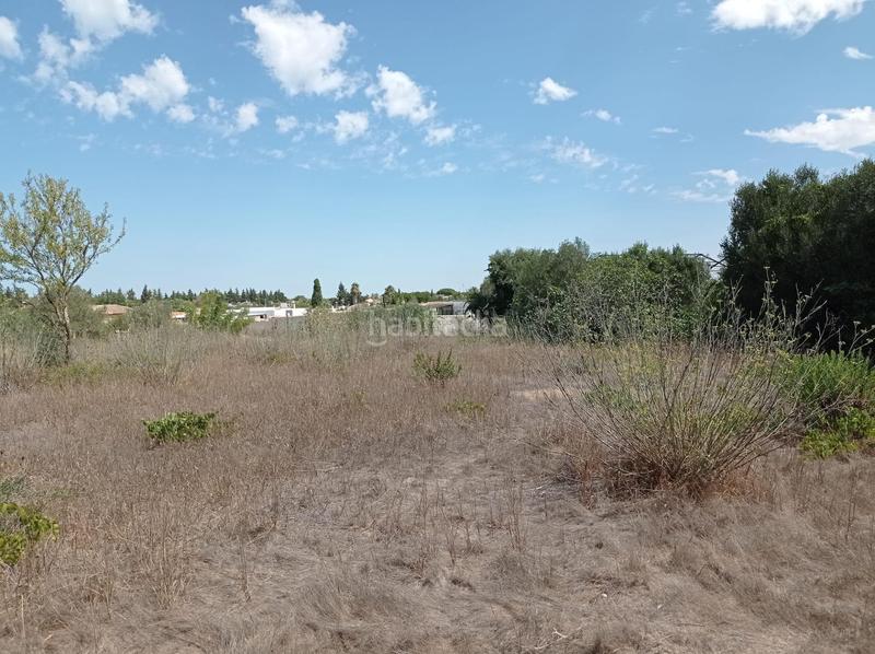 Foto 281c8807-8b5c-48fa-8c22-9f0b991d2c35. Finca rústica a Las Lagunas - Campano Chiclana de la Frontera