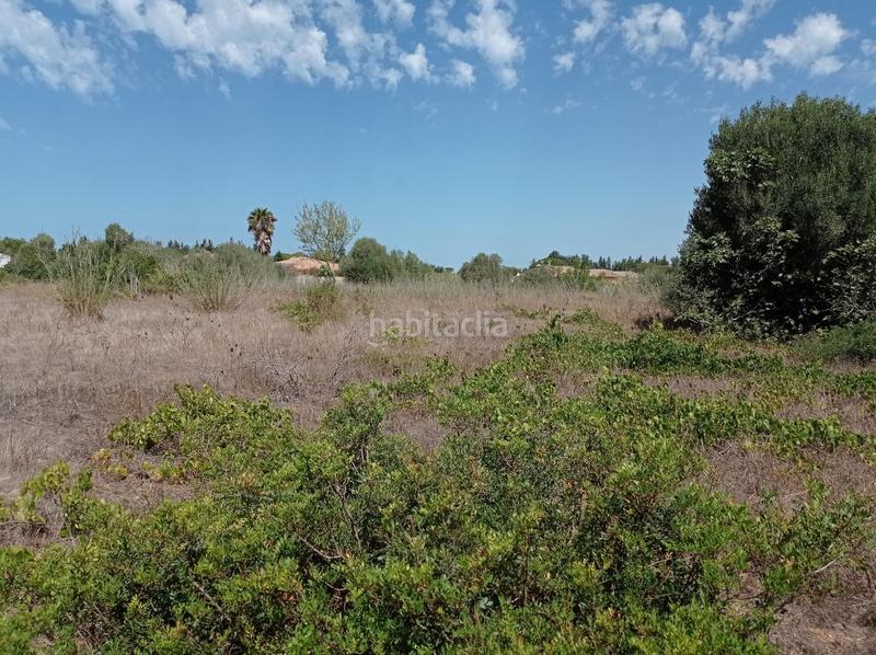 Foto 5dbf0d4c-0033-4214-917f-0b0e9723012a. Finca rústica a Las Lagunas - Campano Chiclana de la Frontera