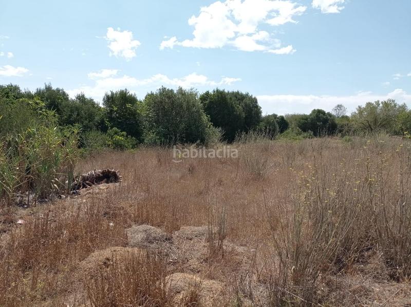 Foto 5ea9c30b-e1a2-4306-8986-83b1fc24b4ec. Finca rústica a Las Lagunas - Campano Chiclana de la Frontera