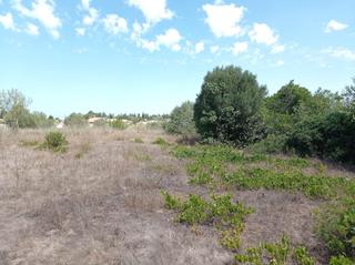 Finca rústica a Las Lagunas - Campano. Venta de parcela en la caulina