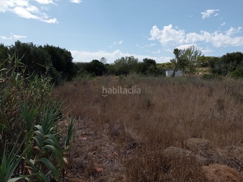 Foto da8ae7f2-16a4-46c5-b552-66db053bf968. Finca rústica a Las Lagunas - Campano Chiclana de la Frontera