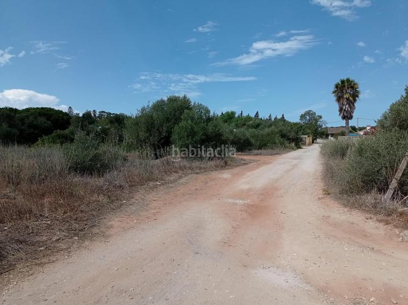 Foto f33a5cb2-2b56-43da-9049-8a5930ea0c21. Finca rústica a Las Lagunas - Campano Chiclana de la Frontera