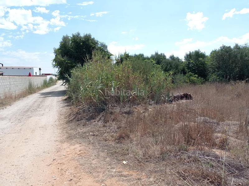 Foto f796b329-b3ed-4677-8aff-b4089b2c100e. Finca rústica a Las Lagunas - Campano Chiclana de la Frontera
