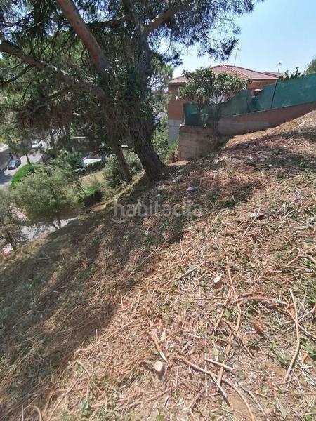 Foto 3792e271-f42e-4e34-acc3-56da970e35e3. Terreny residencial a Can Massuet del Far Dosrius
