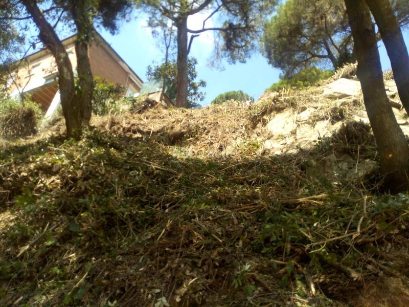 Foto d0deccc5-94c6-42e4-980b-9581a6c5ab05. Terreny residencial a Can Massuet del Far Dosrius