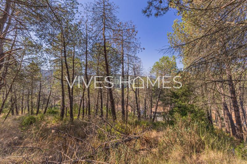 Foto 0c0a1b88-bbf5-4d0a-9248-13365a0d4604. Terreno residencial terrenos en venta en Dosrius poble Dosrius