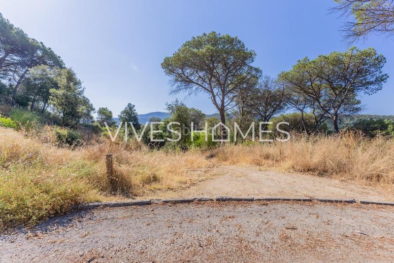 Foto 92a97446-ef4f-4bf5-8065-698f8ad1e7fa. Terreno residencial terrenos en venta en Dosrius poble Dosrius