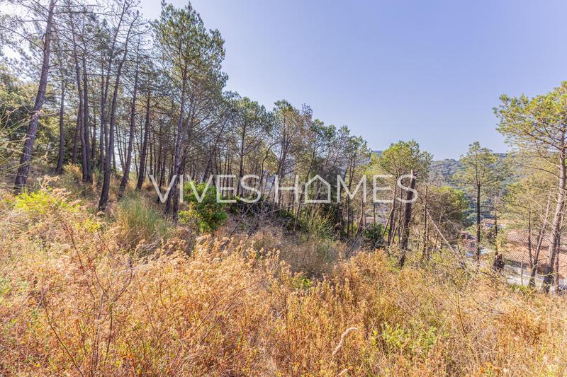 Foto b8b51a3c-f71a-4167-b738-f32d3074fc82. Terreno residencial terrenos en venta en Dosrius poble Dosrius
