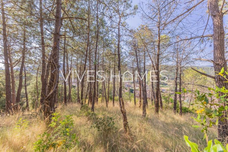 Foto ebc2bead-8281-4962-994b-6e490ba97344. Terreno residencial terrenos en venta en Dosrius poble Dosrius