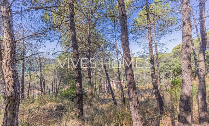 Foto f5492f59-9b58-4d7c-8f8d-b8187d79df00. Terreno residencial terrenos en venta en Dosrius poble Dosrius