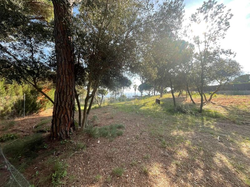 Foto 3f77b5c8-af99-46e8-81e0-14f4111aab8c. Casa amb aparcament a El Mirador-La Cornisa Sant Andreu de Llavaneres