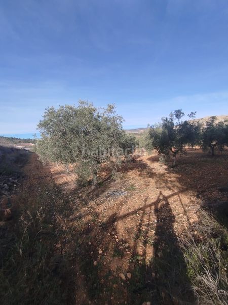 Foto c7151dd6-9c73-4ea3-afca-54f3e2a44025. Masia a ctra. algayat 58 a Romana (la)