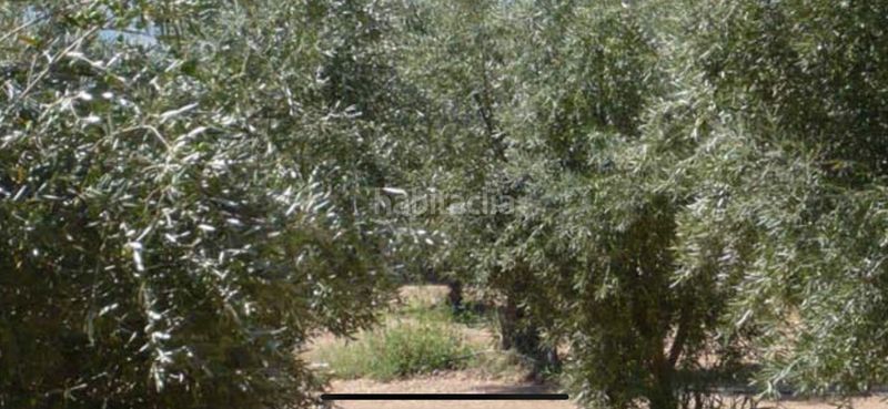 Foto c1efe7cf-8152-472e-bb0f-fc436ed7724d. Xalet a calle martín belda mencías 6a a Onil