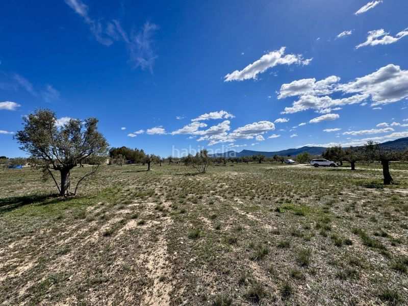 Foto d2979a8e-97e5-4a0f-b914-983b4f1efa20. Finca rústica a carrer cervantes 71 a Castalla