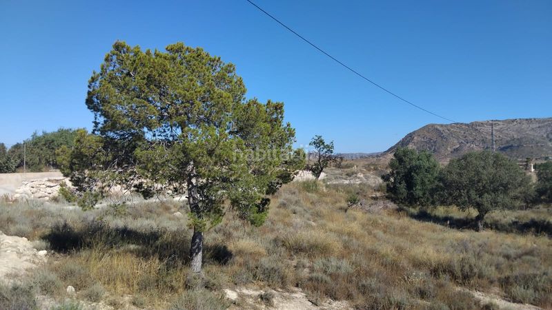 Foto 4745125e-ac1e-4294-a168-9880ce191d59. Finca rústica a partida sol del camp 144 a Agost