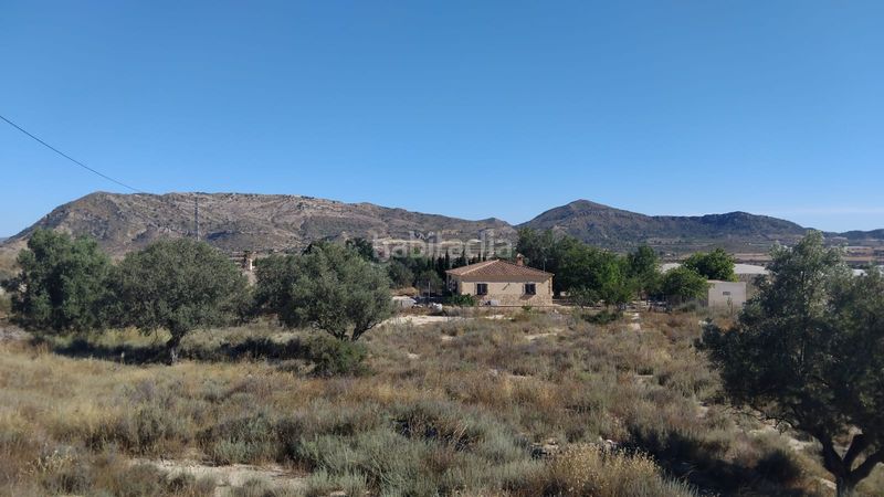 Foto 478d088b-fddc-4243-96b0-0faaf8a61823. Finca rústica a partida sol del camp 144 a Agost