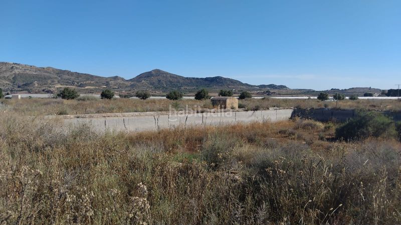 Foto 55ca6fa5-39ed-4f8f-9a44-4a5a45fde224. Finca rústica a partida sol del camp 144 a Agost