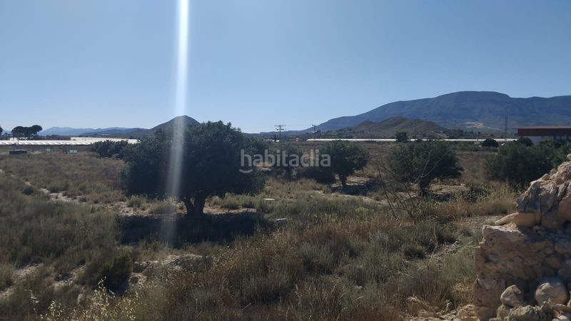 Foto c881fb73-e769-4859-aaba-b88dce08a352. Finca rústica a partida sol del camp 144 a Agost