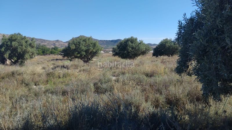Foto f7c8ddc6-7734-41d0-b868-54b9140fa1f2. Finca rústica a partida sol del camp 144 a Agost