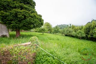 Casa adossada a Villaviciosa - celada. Cuadras y finca en el concejo de villaviciosa, asturias