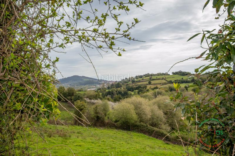 Foto 5aeda929-d09b-45f5-8ed5-46379a83adb9. Reihenhaus in Colunga