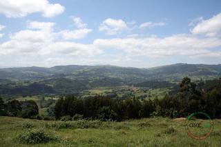 Terreny residencial a Parcela 4-el pedrosu-les pravianes parcela 4. Venta de parcela edificable en villaviciosaasturias con las mejo