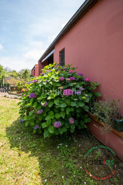 Foto 46d194e2-f87e-4eef-9e82-22f6ee2dad88. Casa en lue 53 venta de casa independiente de cuatro dormitorios en luéasturias en Colunga
