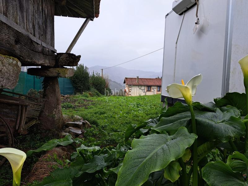 Foto 476cbd9b-b0b2-4299-8ff3-0a084e7db75c. Terreny residencial a Colunga