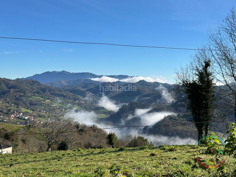 Foto 42a9e206-3fbe-4761-8792-299c5e6faf11. Finca rústica a Cabranes - arboleya a Cabranes
