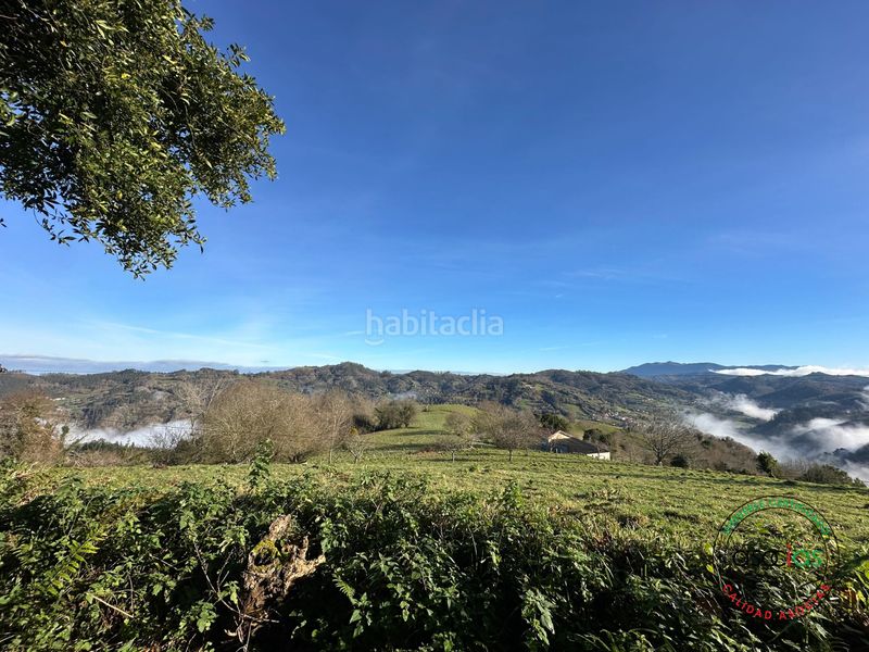 Foto 5e5d6d01-d020-4c62-b16f-7d5c5dd98fee. Finca rústica a Cabranes - arboleya a Cabranes