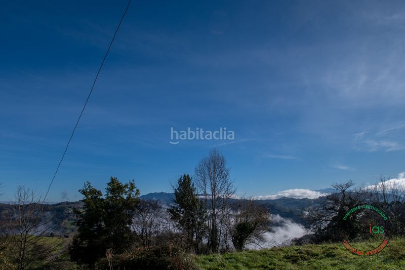 Foto 63918f29-c641-480c-a002-7206b3b79b8a. Finca rústica a Cabranes - arboleya a Cabranes