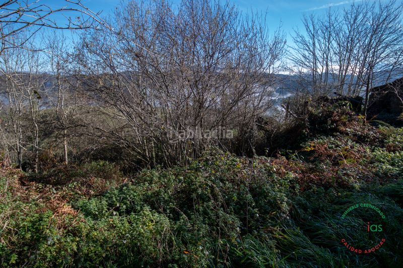 Foto 6f4b3218-a174-4223-8833-f2ef9a13916c. Finca rústica a Cabranes - arboleya a Cabranes