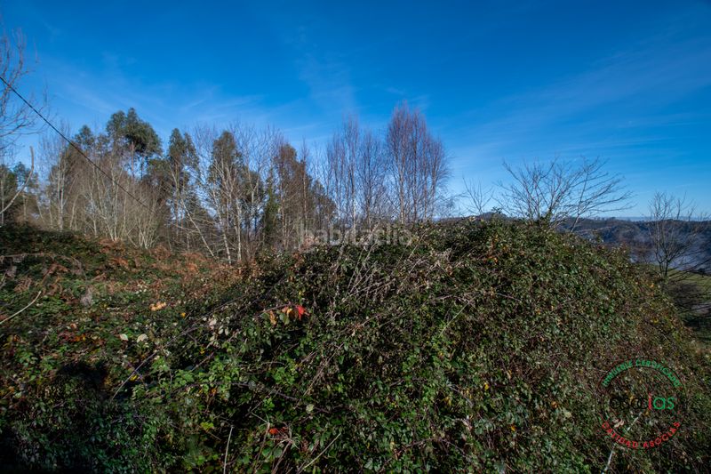 Foto 7a68b5e4-f5ab-47b8-be12-b9a53a6334b7. Finca rústica a Cabranes - arboleya a Cabranes