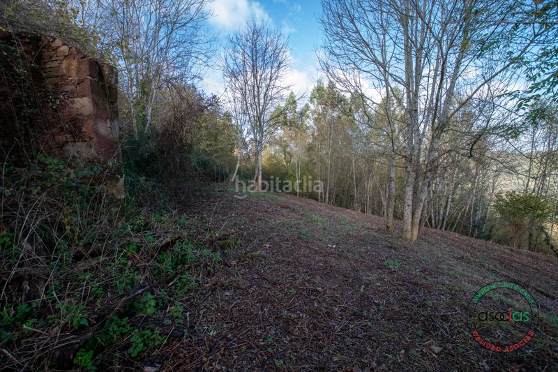 Foto e1a30a07-f597-495b-832c-7f3352aa93c1. Finca rústica a Cabranes - arboleya a Cabranes