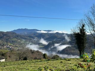 Terrain résidentiel à Cabranes - arboleya. Venta de fincas en arboleya cabranes
