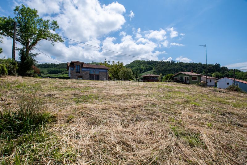 Foto 15b3f846-1b7a-420a-b673-c9da30715b2b. Finca rústica a Selorio - Tornón Villaviciosa